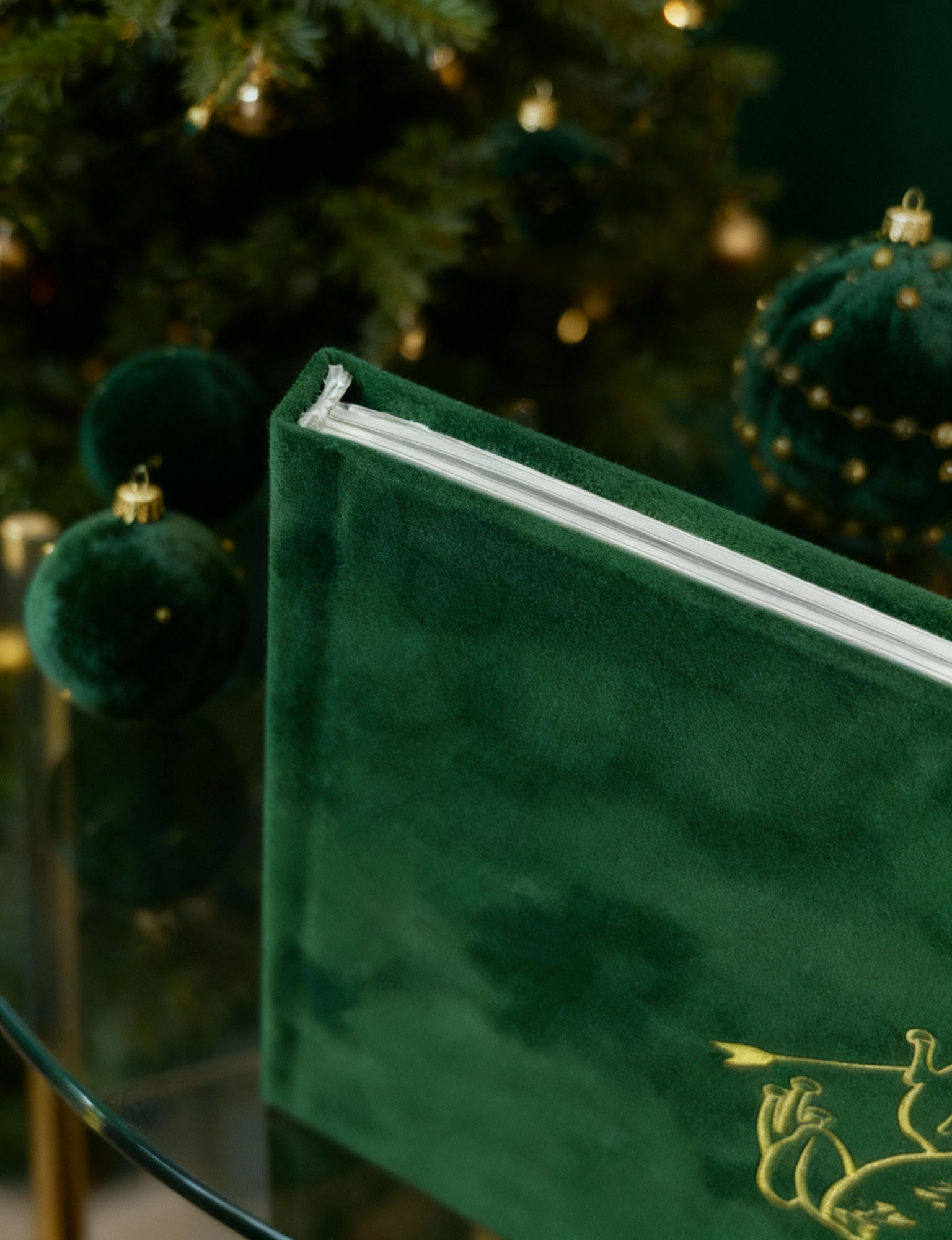 Лимитированная коллекция фотокниг. Царевна-Лягушка - фото 2